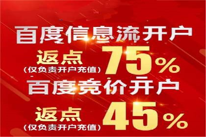 SEM竞价开户流程详解：成功案例解析